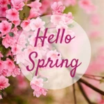 Logo of Spring Wallpapers android Application 