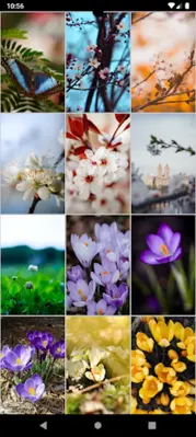 Spring Wallpapers android App screenshot 0