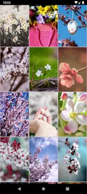 Spring Wallpapers android App screenshot 2