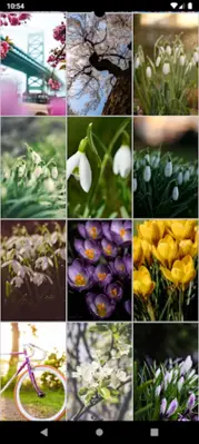 Spring Wallpapers android App screenshot 4